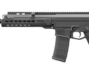 BUSHMASTER ACR PISTOL .223 REM / 5.56 10.5-INCH 30RDS