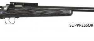 KSA CRICKETT BOLT ACTION 22 LR 1 RD 16.125 INCH LAMINATE STOCK BLACK