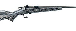 KSA CRICKETT GEN 2 BOLT ACTION 22 LR 16.5 INCH 1 RD LAMINATE BLACK/ STAINLESS
