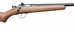 Crickett Youth Rifle Walnut/Stainless Steel .22 16 1/8-in
