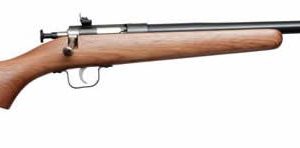 CRICKETT YOUTH RIFLE BLUED/WALNUT .22WMR 16.25IN BARREL SINGLE SHOT