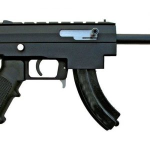 EXCEL INDUSTRIES X-22P .22LR PINSIGHT TECHNOLOGY 4.5-INCH 10RD
