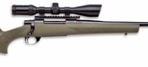HOWA HOGUE GAMEKING GREEN .223REM 20-INCH 10RD SCOPED PACKAGE