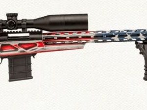 HOWA HCRA 308 WINCHESTER 26-INCH 10 ROUNDS