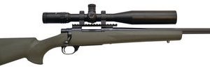 HOWA/HOGUE TARGETMASTER COMBO PACKAGE .22-250REM. 20-INCH 5RD BLUE/GREEN STOCK