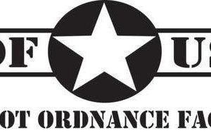 PATRIOT ORDNANCE FACTORY P415 EDGE PISTOL BURNT BRONZE 5.56 NATO / .223 REM 10.5" BARREL 30-ROUNDS