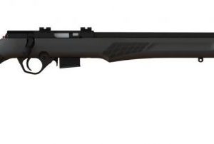 ROSSI RB17 .17 HMR 21" BARREL 5 ROUNDS WEAVER SCOPE MOUNT