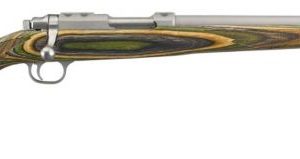 RUGER 77/17 .17 HORNET 18.50" 6 ROUNDS GREEN MOUNTAIN MATTE STAINLESS