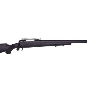 SAVAGE ARMS MODEL 10 SBA .308 WIN 20" 4 RDS