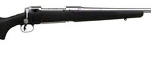 SAVAGE 110 STORM BLACK .25-06 REM 22-INCH 4RDS
