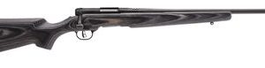 SAVAGE B.MAG TARGET BLUE .17WSM 22-INCH 8RD