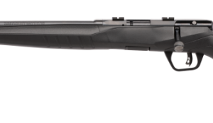 SAVAGE B17 F BLUED .17 HMR 21-INCH 10RDS LEFT HAND