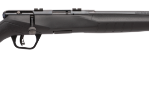 SAVAGE B17 F COMPACT BLUED .17 HMR 18-INCH 10RDS ACCUTRIGGER