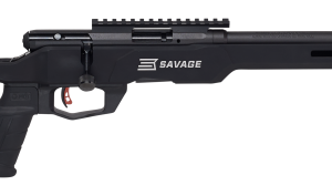 SAVAGE B17 PRECISION 17HMR 18-INCH TB BLK 10RDS