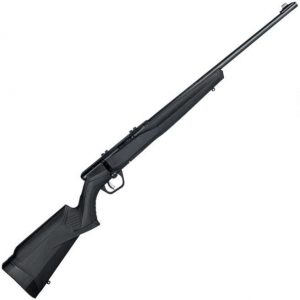 SAVAGE B22 BLUED 22LR 21-INCH 10-RD
