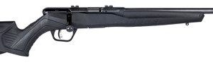 SAVAGE ARMS B22 22 LR 21 INCH BARREL 10 RDS