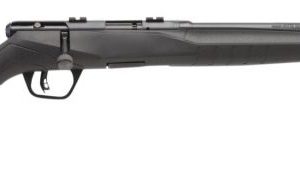 SAVAGE B22 COMPACT BLUED .22 LR 18-INCH 10RDS ACCUTRIGGER