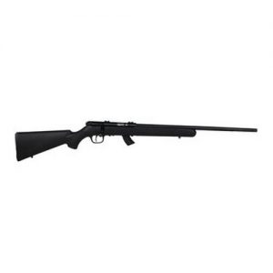 SAVAGE 17HM2 BOLT BL SYNTHETIC ACCUTRIGGER