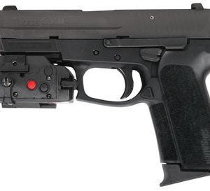SIG SAUER SP20229BSSTL-CA SP2022 9MM 3.9-INCH NS NIT 10RD CA