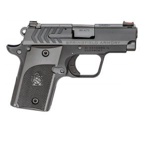 SPRINGFIELD ARMORY 911 ALPHA NITRIDE .380 ACP 2.7-INCH 6RDS