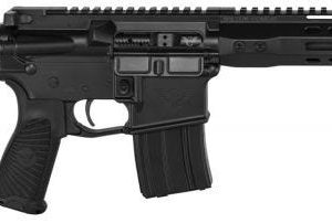 WILSON COMBAT PROTECTOR PISTOL 5.56 NATO / .223 REM 11.3" BARREL 20-ROUNDS