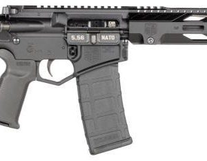 DIAMONDBACK DB15 5.56 NATO / .223 REM 10" BARREL 30-ROUNDS TAILHOOK MOD2 BRACE