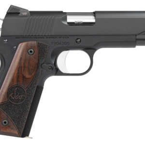DAN WESSON GUARDIAN 9MM 4.25" BARREL 9-ROUNDS NIGHT SIGHTS