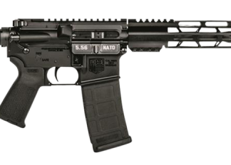 Diamondback DB15 Tactical Rifle .300 AAC Blackout 16" Barrel 30-Rounds