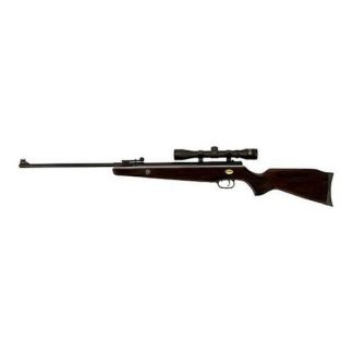 Beeman Precision Airgun SS1000 Combo .177 with 4X32 SP Air Gun Rifle