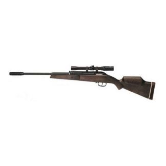 Beeman Air Gun Rifle .177 w/4x20 Scope