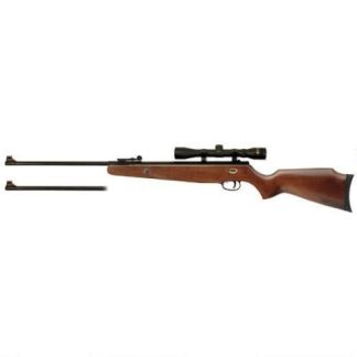 Beeman Dual Caliber Air Rifle Combo