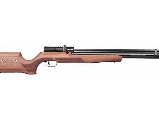 Benjamin Sheridan Cayden Air Rifle .22 Pellets 12-Rounds