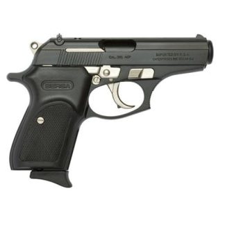 BERSA 380 MOUNT WITH NICKEL ACCENTS