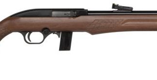 Braztech/Rossi RS22 Wood .22 LR 18" Barrel 10-Rounds