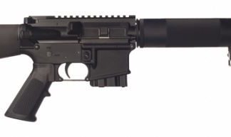 Bushmaster Hunter 450 Bushmaster 16 inch 5 Rd Square Drop
