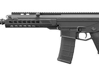 BUSHMASTER ACR PISTOL .223 REM / 5.56 10.5-INCH 30RDS