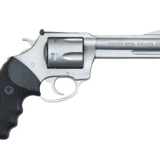 Charter Arms Professional VI Stainless .357 Mag 4.2" Barrel 6-Rounds