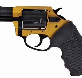 Charter Arms 53290 Undercoverette Gold & Black