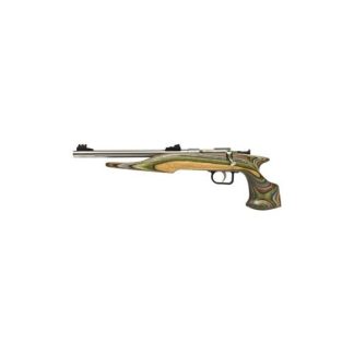 Chipmunk 40105 .22LR Stainless Pistol Camo LAM
