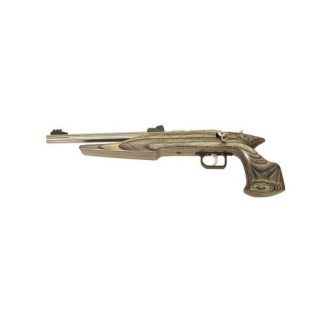 Chipmunk 41103 22MG Stainless Pistol Black LAM