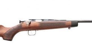 Chipmunk Deluxe Special Edition Rifle Blued / Walnut .22 LR 16.125-inch 1Rd