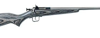 KSA CRICKETT GEN 2 BOLT ACTION 22 LR 16.5 INCH 1 RD LAMINATE BLACK/ STAINLESS