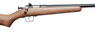 Crickett Youth Rifle Walnut/Stainless Steel .22 16 1/8-in