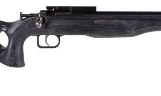 Crickett Black Target .22 LR 16.13" Barrel 1-Rounds