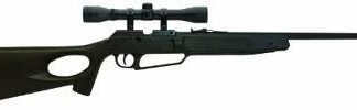 Daisy 990077-402 Win 77 Dual Ammo Air Gun Rifle