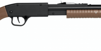 Daisy Model 12 Youth Pump Rifle BB 12-Rounds