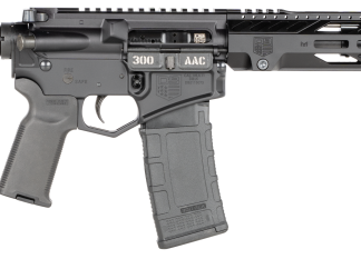 DIAMONDBACK DB15 .300 AAC BLACKOUT 10" BARREL 30-ROUNDS