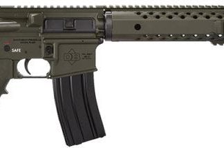 Diamondback WMDB15ODG-2 Sport Rifle .223 with Rail no Sights