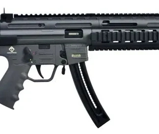 GSG GSG-16 Carbine .22 LR 16.25" Barrel 10-Rounds