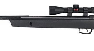 Gamo BUCKMSTR SQUIR TERM Air Gun Rifle